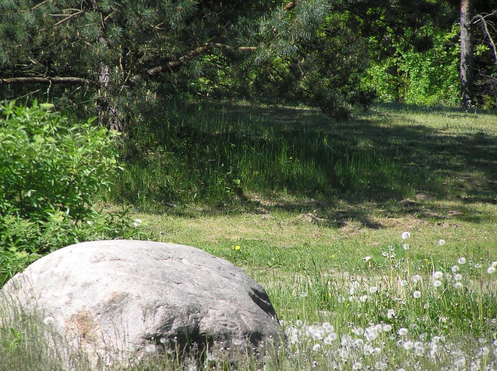Apartmán Wymoj Park Stawiguda Exteriér fotografie